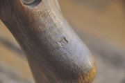 _DSC8956